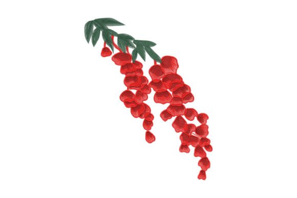 Hanging Flame Petals: A Designer's Review